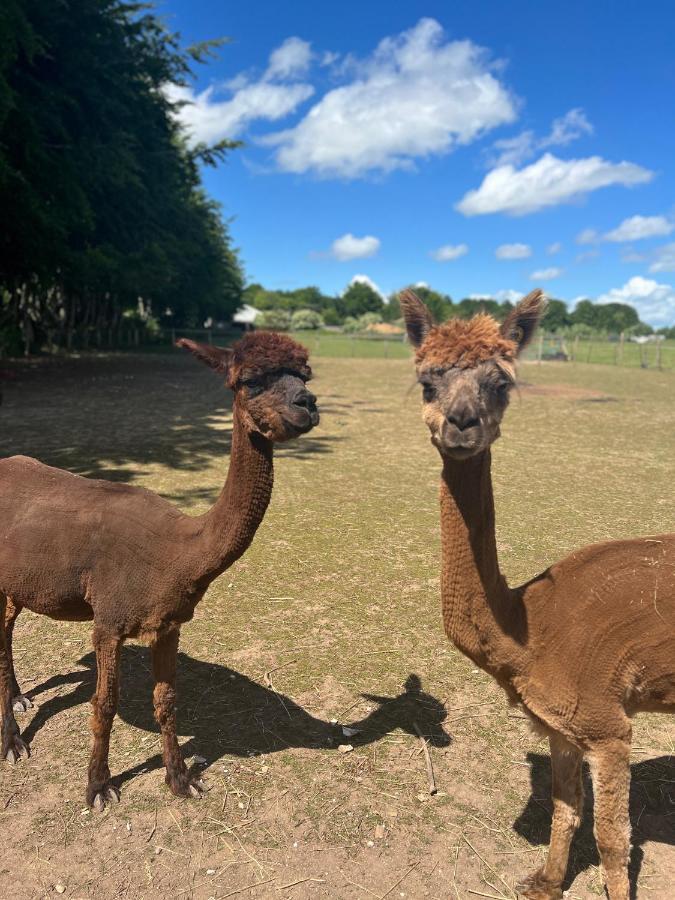 Stonehenge Hostel - Yha Affliated Cholderton エクステリア 写真
